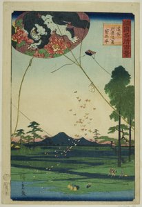 Vliegers van Fukuroi en Ver Uitzicht op Akiba in de Totomi Provincie, uit de serie "Honderd Beroemde Uitzichten in de Verschillende Provincies" door Utagawa Hiroshige II
