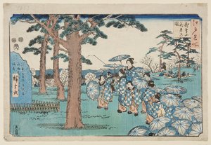 Kersenbloesem bekijken op Asuka-heuvel door Utagawa II Hiroshige