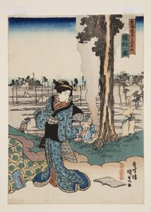 Uitzicht op Hamamatsu