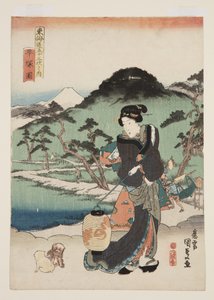Uitzicht op Hiratsuka door Utagawa Kunisada