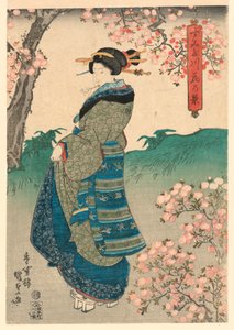 Vrouw die Kersenbloesems Bekijkt aan de Oever van de Sumida-rivier door Utagawa Kunisada