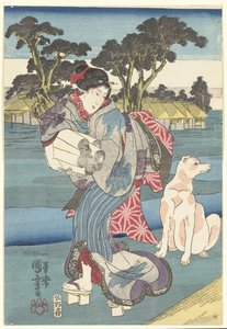 De Toi Tama rivier in de provincie Settsu door Utagawa Kuniyoshi