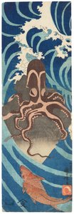 Octopus op een rots, c.1837 (houtsnede)