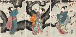 Yoru no sakura [Kersenbloesems 