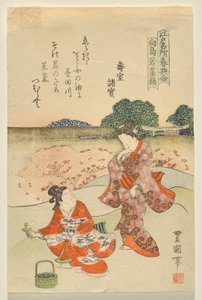 Kruiden Verzamelen bij Mukojima, uit de serie Beroemde Edo Locaties in de Lente
