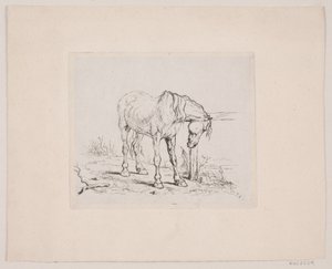 Een oud paard door Valdemar Irminger