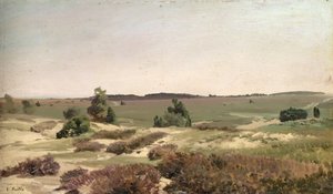 De Heide bij Wilsede, 1887