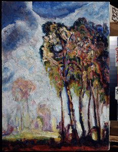 Landschap met bomen