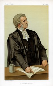 Een schitterende advocaat, 1883
