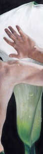 Hand die een calla-lelie aanraakt