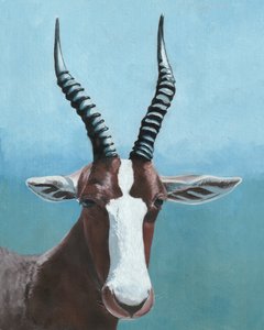 Geschilderde blik van een blesbok