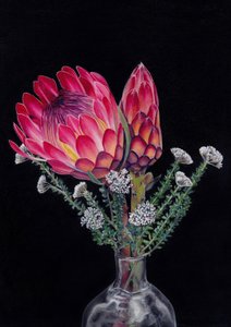 Protea en Blombos Door Viccy Wanliss door Viccy Wanliss
