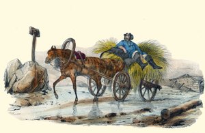 Le Paysan Russe