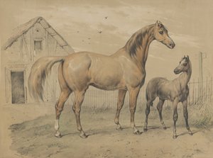 Merrie en Veulen, 19e eeuw door Victor Adam