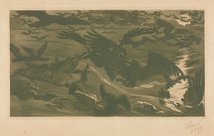 Roofvogels