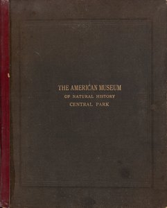 Het fotografische album van het American Museum of Natural History, Central Park, New York City door Victor Prevost, Gaston L. Feuardent and Co., New York