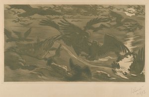 Roofvogels, 1893