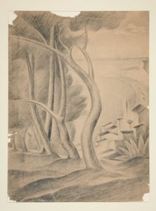 Landschap