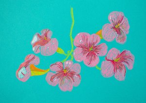 Roze bloementekening door Viktoriia Saunina