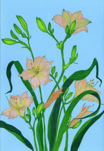 Zachte perzikkleurige bloemen