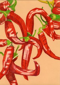 Pittige rode paprika’s door Viktoriia Saunina