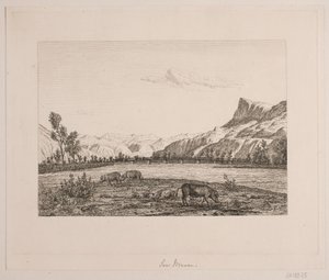 Berggebied in Tirol