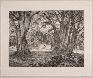 Het Binnenste van een Bos door Vilhelm Kyhn