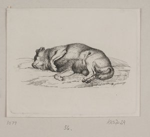 Een liggende hond door Vilhelm Kyhn