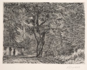 Het huis in het bos