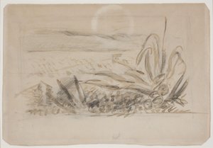Landschap met Agave. Zuid-Frankrijk