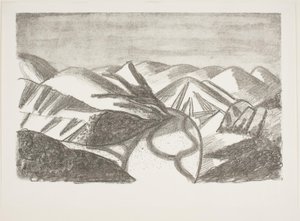 Zuid-Frans landschap