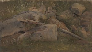 Studie van een steenhoop door Vilhelm Petersen