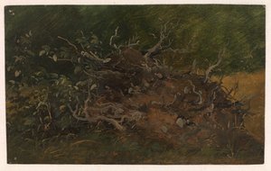 Studie van een boomstronk door Vilhelm Petersen