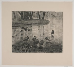 Eenden door Vilhelm Th. Fischer