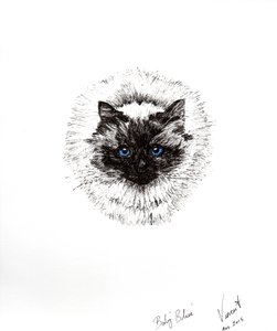 Babybal, 2015