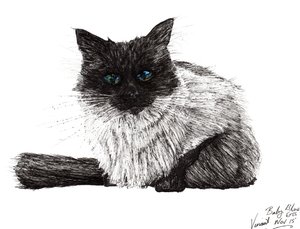 Baby blauwe ogen, 2015