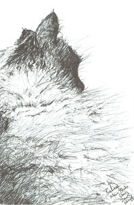 Baby blijft warm Nieuwjaar, 2005