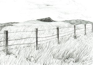 Culter Fell vanaf Hartfell, 2005 door Vincent Alexander Booth