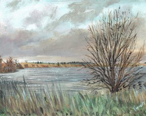 Fannyside Loch door Vincent Alexander Booth