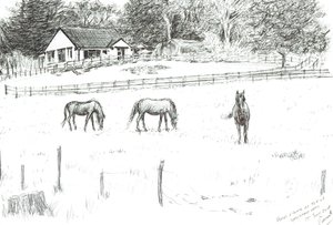 Paarden bovenaan de laan, 2008