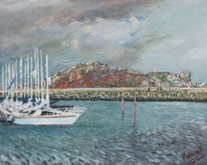 Howth, Ierland, 2001 door Vincent Alexander Booth