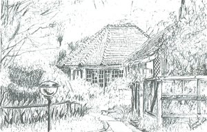 Kamers in hotel, Lake Naivasha, 2006