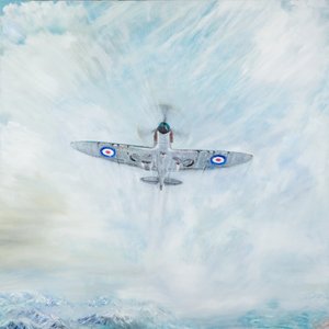 Spitfire aas van schoppen, 2016
