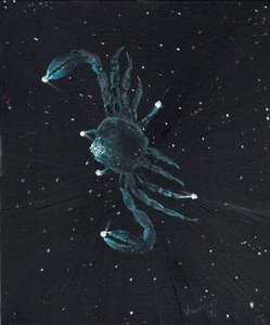 Sterrenbeeld Kreeft, 2016