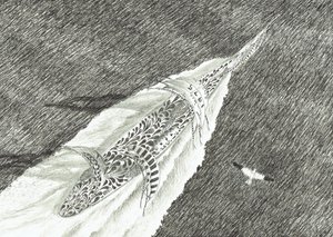 Stormscheppers Kaap Canaveral, 2022