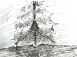 Stormscheppers Kaap Reinga, 2022 door Vincent Alexander Booth