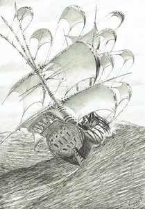 Stormscheppers Zhaoyang Hu door Vincent Alexander Booth