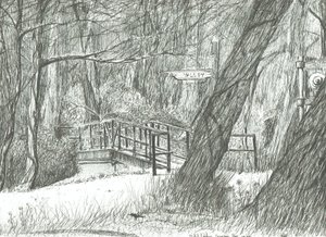 De oude metalen brug, Bramhall park