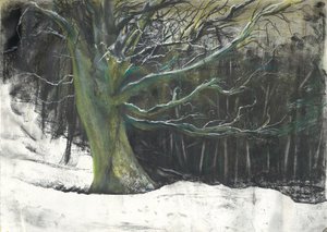 Boom in wintersneeuw in Osmotherley bossen door Vincent Alexander Booth
