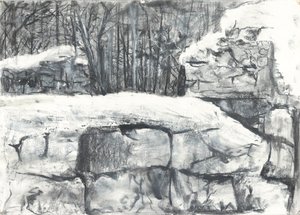 Muur in het Bos Osmotherley door Vincent Alexander Booth